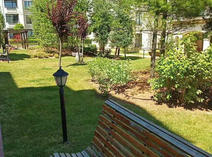 Rose в местност каваци, *