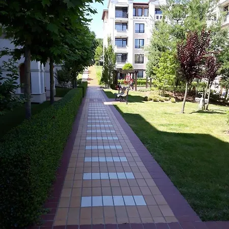Rose в местност каваци, * Sosopol