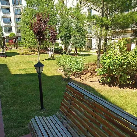 Rose в местност каваци, *